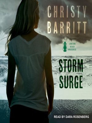 Storm Surge - Audiobook